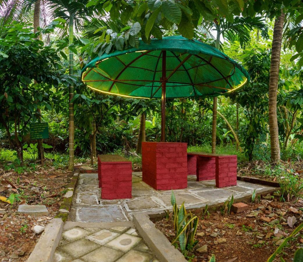 אודופי Jasmine Land Homestay מראה חיצוני תמונה